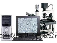 pơϺSMùB(yng)MJ-250-II(sh)