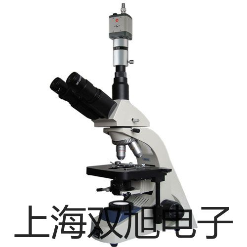 pơӋ(j)سRC21P15ZH(sh)