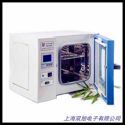 電熱恒溫鼓風干燥箱烘箱恒溫箱烤箱烘干箱老化試驗箱實
